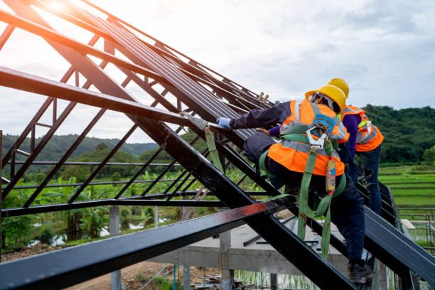 Trusted Wayne, NE Roofing Contractor Experts