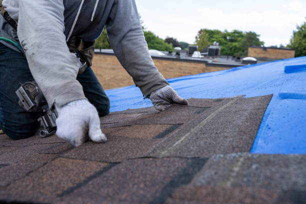 Best Emergency Roof Repair  in Way, NE