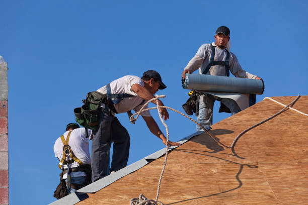 Best Metal Roofing Contractor  in Way, NE