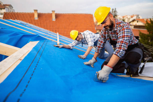 Best Storm Damage Roof Repair  in Way, NE