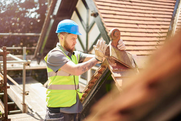 Best Roof Gutter Cleaning  in Way, NE