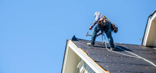 Best New Roof Installation  in Way, NE